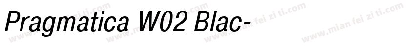 Pragmatica W02 Blac字体转换